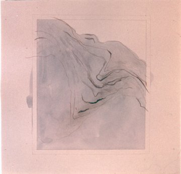 019 (5)